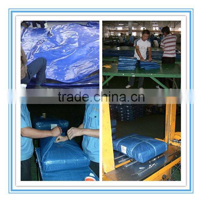 PVC laminated canvas tarpaulin with eyelets for tent