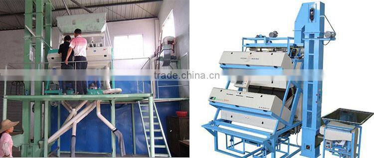 my text color sorting machine