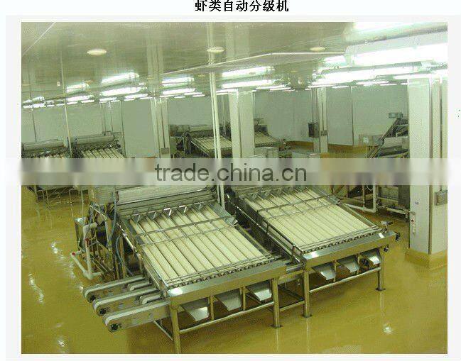 Shrimp Grading Machine Shrimp Grader