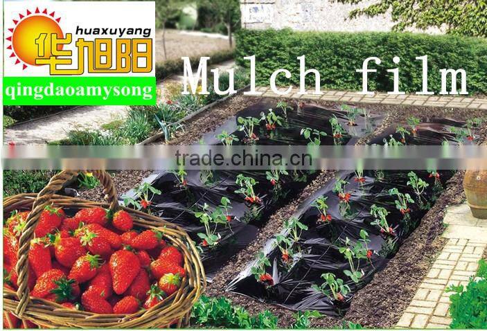 PE balck agricultural polyethylene plastic film rolls