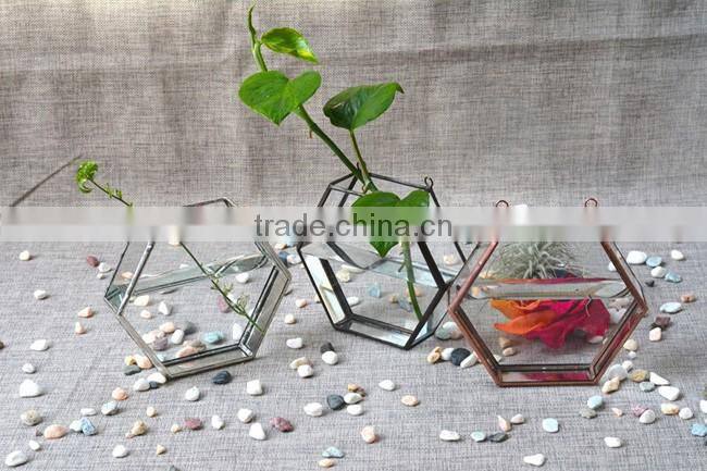 New design home decor hanging terrarium hydroponic glass containers
