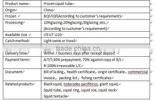 squid tube of japanese squid