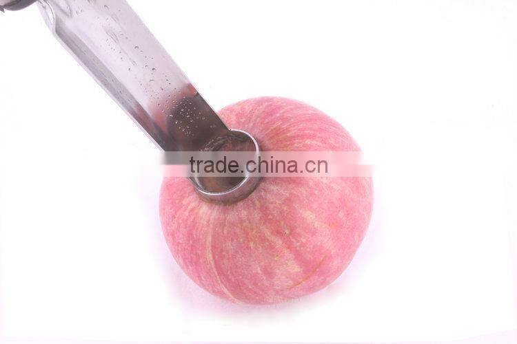 apple core remover