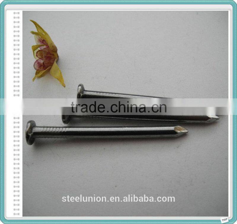 Factory Common Wire Nail/Common Nail for Construction/Common Nail