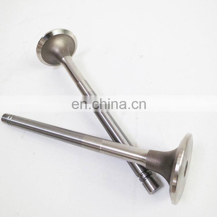 Auto Parts Engine Parts 3040830 NT855 Engine Exhaust Valve