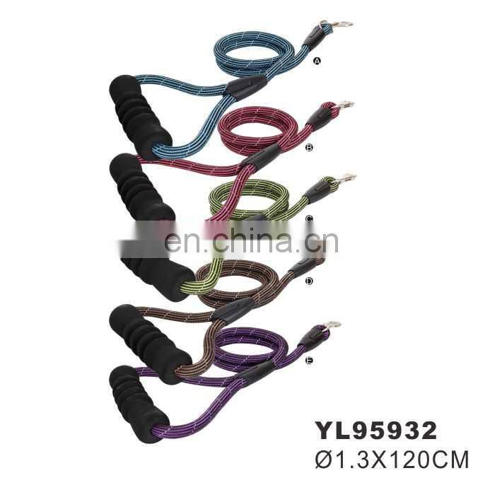 Nylon Leash & Slip Collar