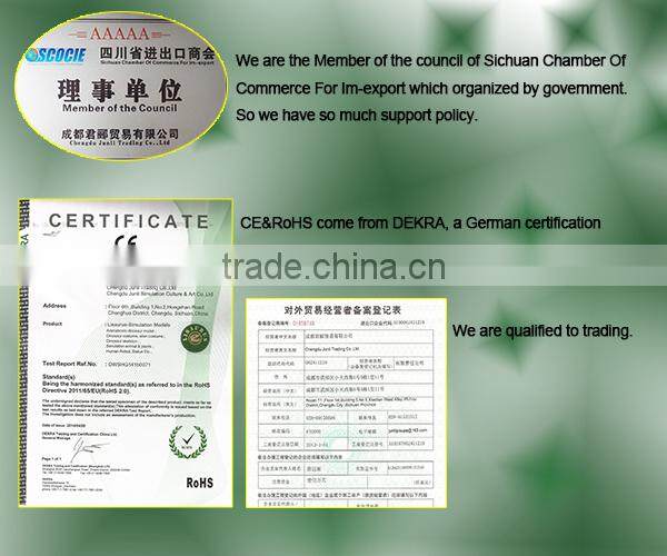 Lisaurus-G high quality life size silicon horse with movements