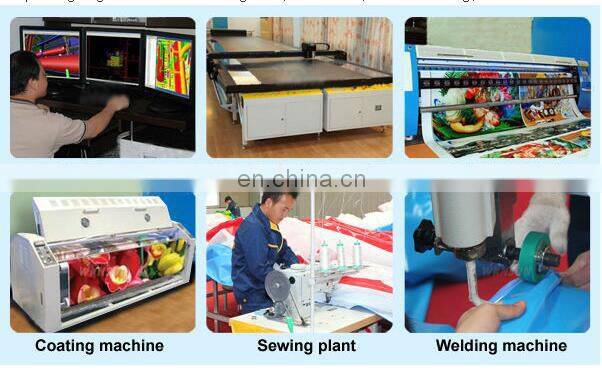 Giant inflatable pool slide/tropical inflatable water slide with pool for kids and adults