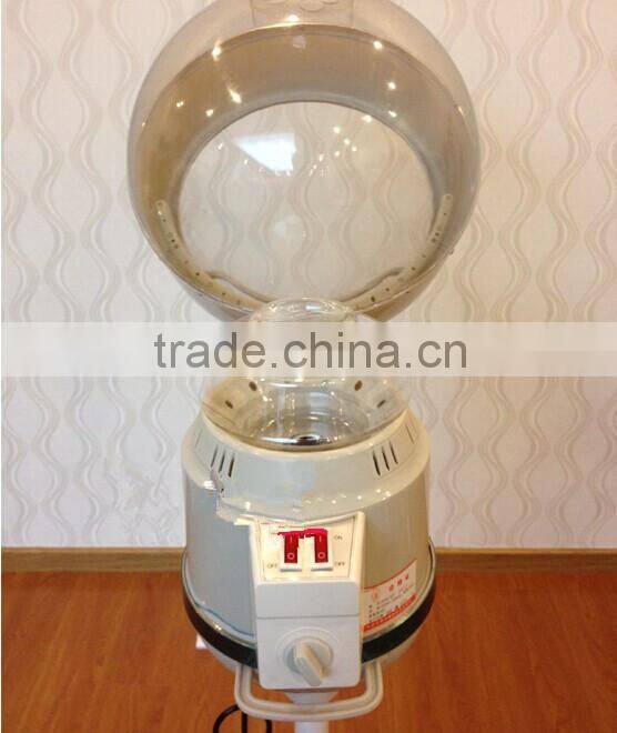 VY-202-L Professional hair steamer for salon/home use