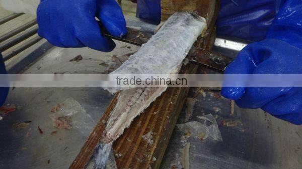 Frozen spanish mackerel fillets