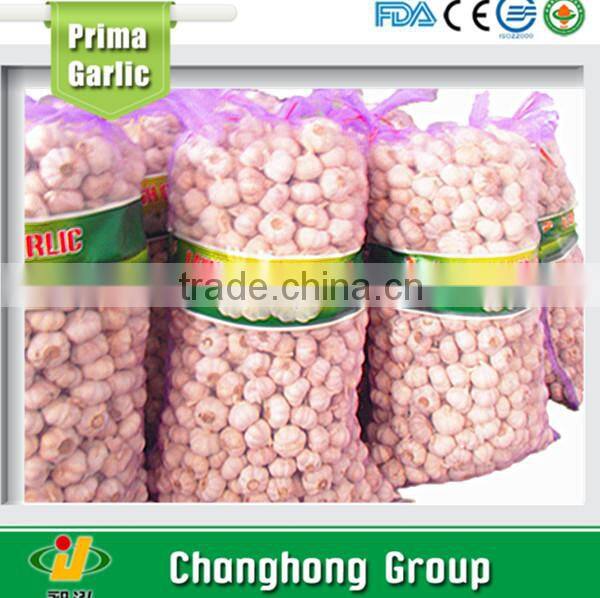 Best quality normal white white garlic