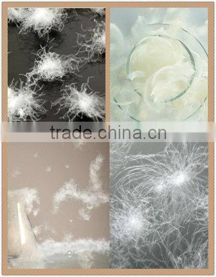 75% Washed White Duck Down