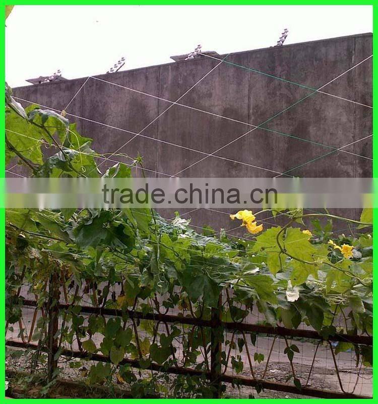pure HDPE climbing plant supporting net