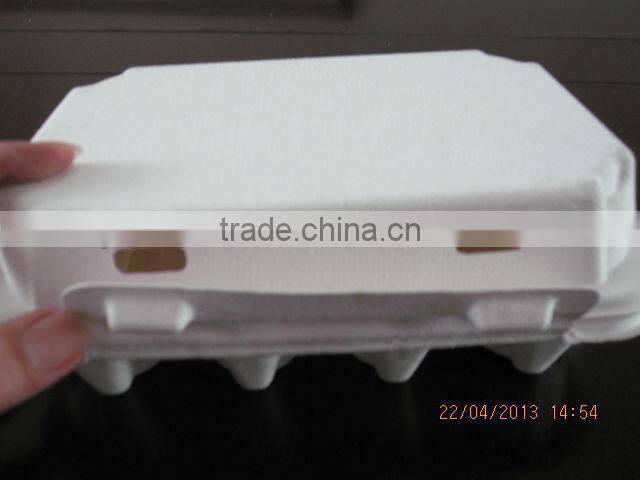 10 Eggs Sugarcane Fiber Moulded Pulp Chicken Egg Tray