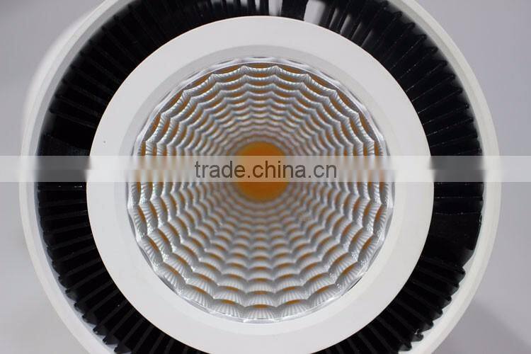 SAA Approved White/chrome LED Surface Mounted Downlight with 12w