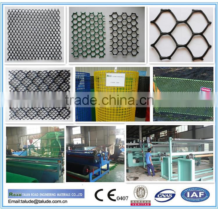HDPE plastic net(geonet) Ce121 CE131 CE151 CE161 CE163 CE181