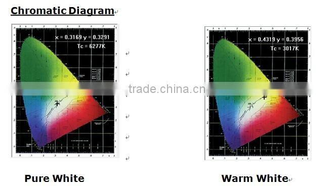 MW 30w COB Floodlight Bridgelux CE ROHS 3 years warranty