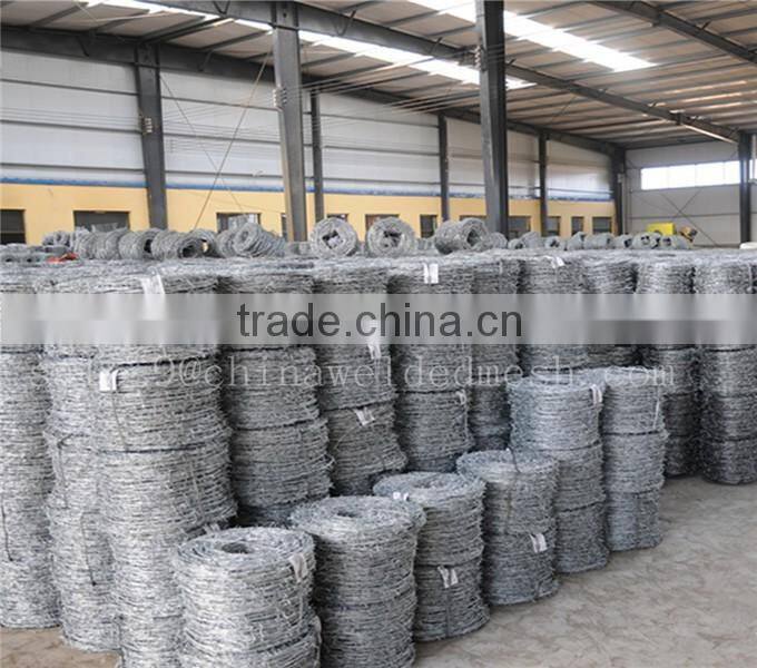 hot-dipped galvanized BWG12x12 barbed wire mesh