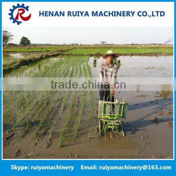 RY brand rice planter / rice transplanter / rice planting machine