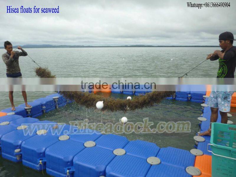 Floating fishing pontoon