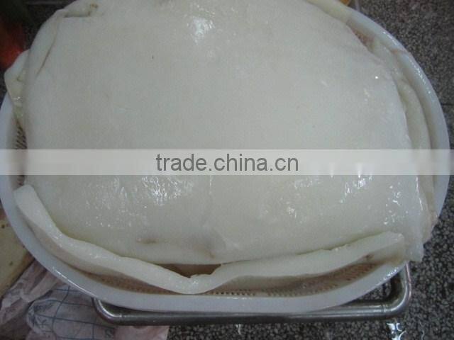 Giant squiid fillets