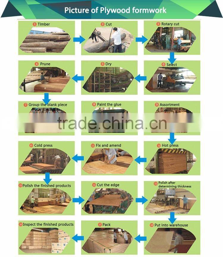 Hardwood Brich reusable Concrete Formwork Plywood