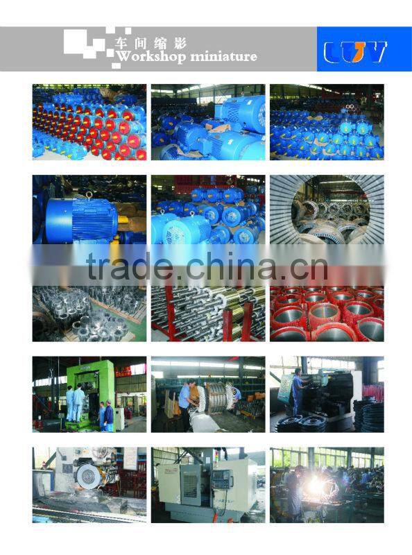 YE3 super efficient motor 415V