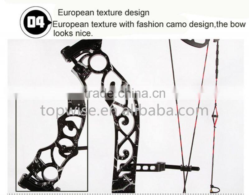 2016 New Design Compound Bow for Hunting and Shooting