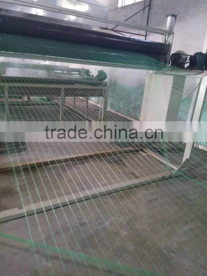 PP anti-bird net(professional factory,reasonable price with high quality)