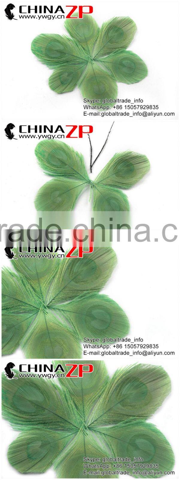 CHINAZP Bulk Sale Selected Prime Quality Colored Mint Green Trimmed Peacock Feathers Eyes for Sale