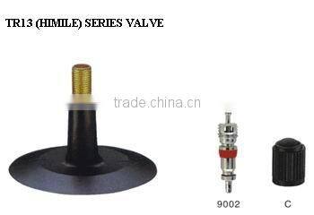 TR15 Tire Valve Without Accessories