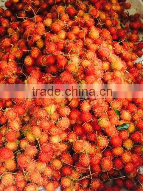 HKVIMEX'S Fresh Rambutan for EU market