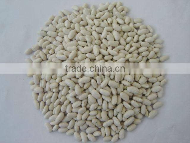 2014 Chinese white kidney bean with cheap price