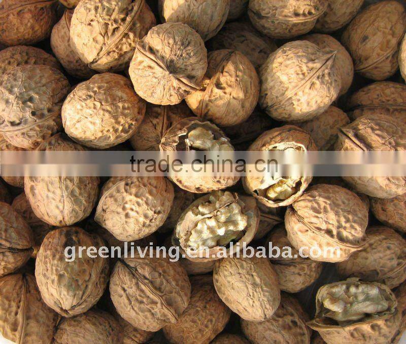 Fresh sweet walnut 2012 the lastest price