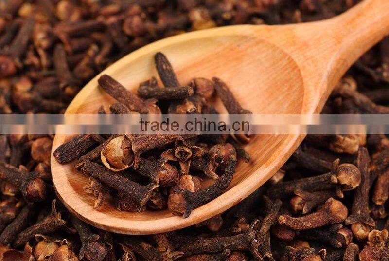 CLOVE BUD ESSENTIAL OIL