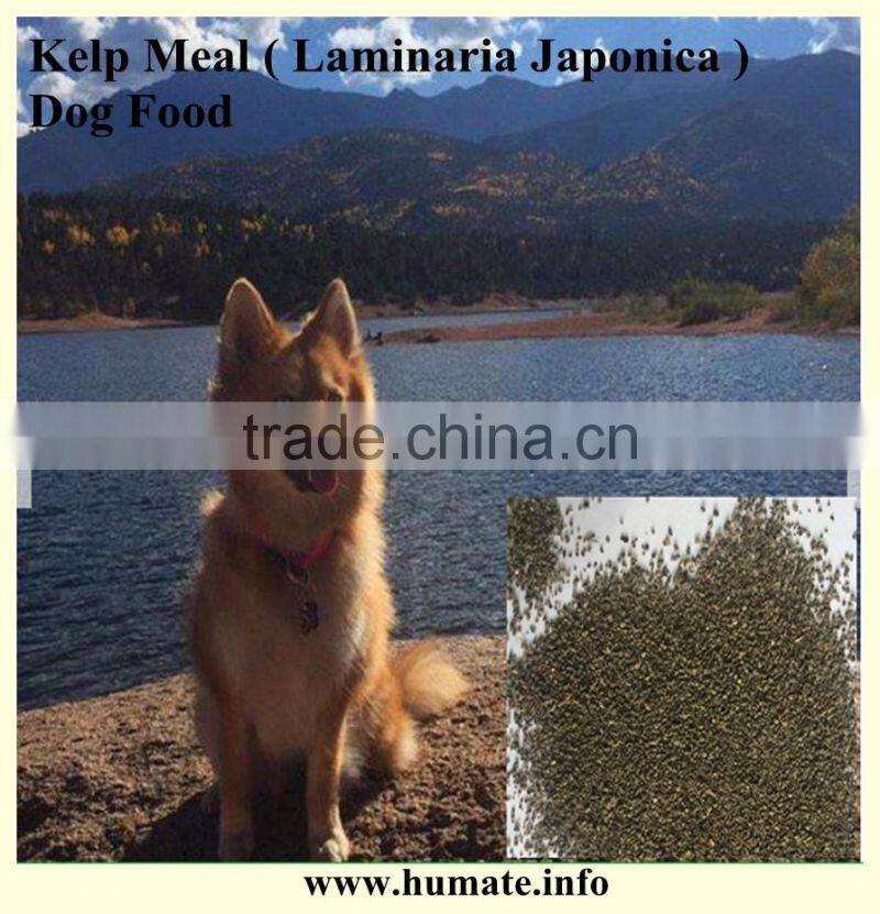 feed grade kelp meal,seaweed kelp meal animal feed in Europe and USA market
