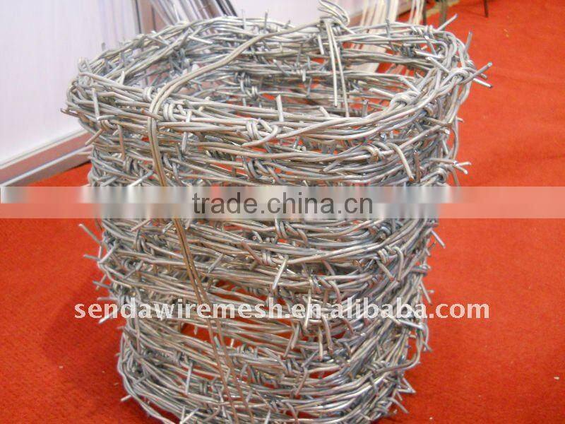 hot dipped galvanized barbed wire