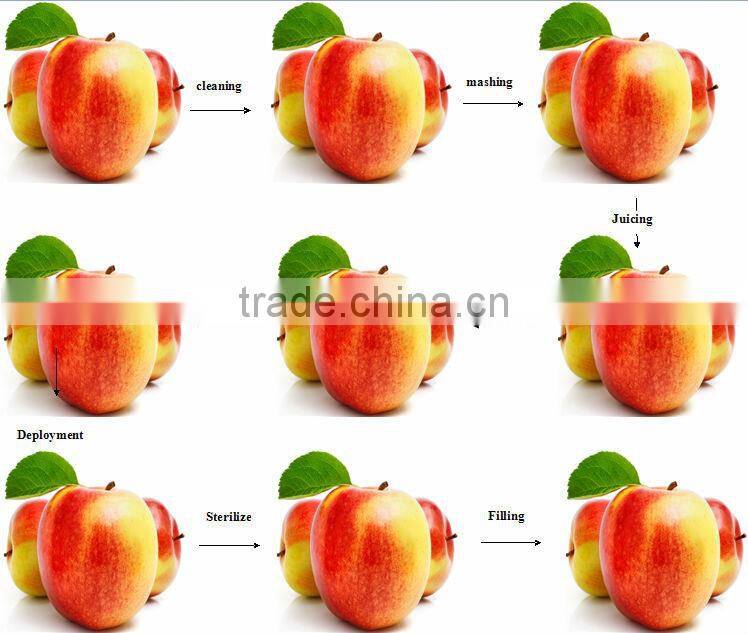 apple juice Full Automatic juice production line