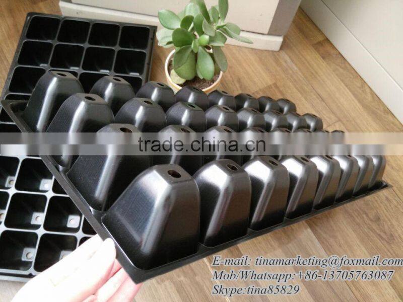 Growing Vegetable Transplants in Plug Seed Nursery Trays 8 Cell