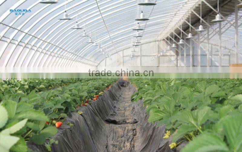 long life span polycarbonate greenhouse roofing