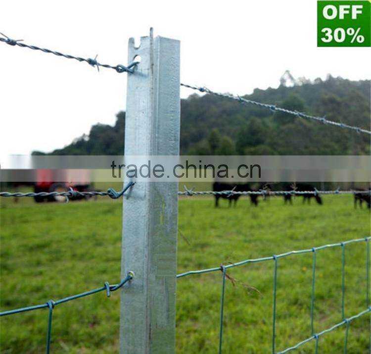 DPBD Australia Factory black star pickets