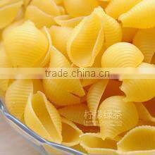 Pasta Extruder equipment/machine