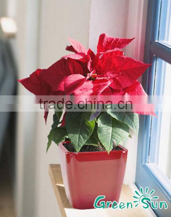 Wholesale customized Gardening Planter Decoration Plastic Flower Pot