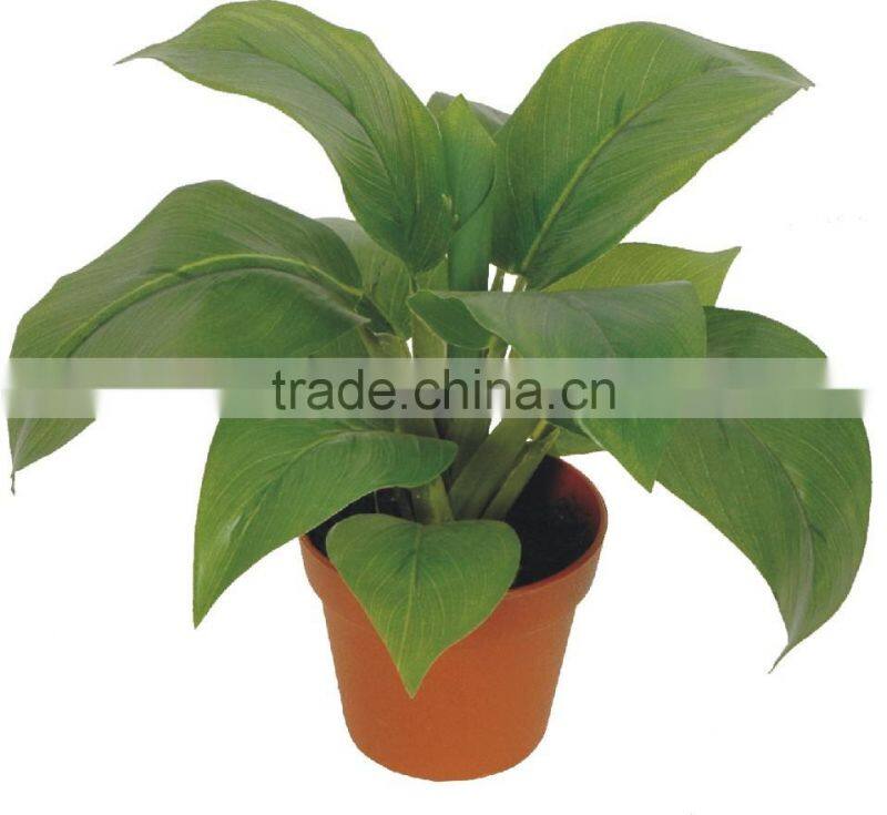 artificial green bonsai Philodenron selloum Koch WB10-13J-GN ( plant bonsai flower tree of Este )