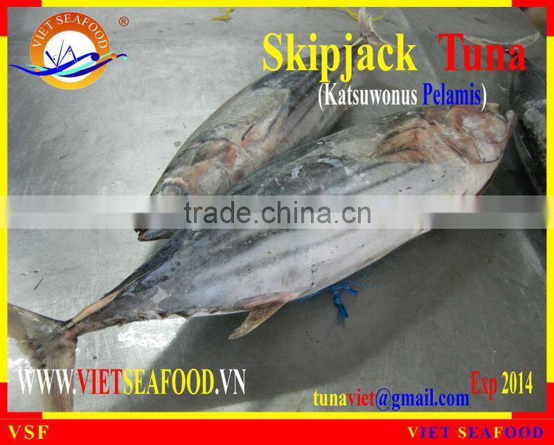 FROZEN W/R SKIPJACK TUNA