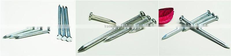 sell cheap galvanized concrete nails/nails
