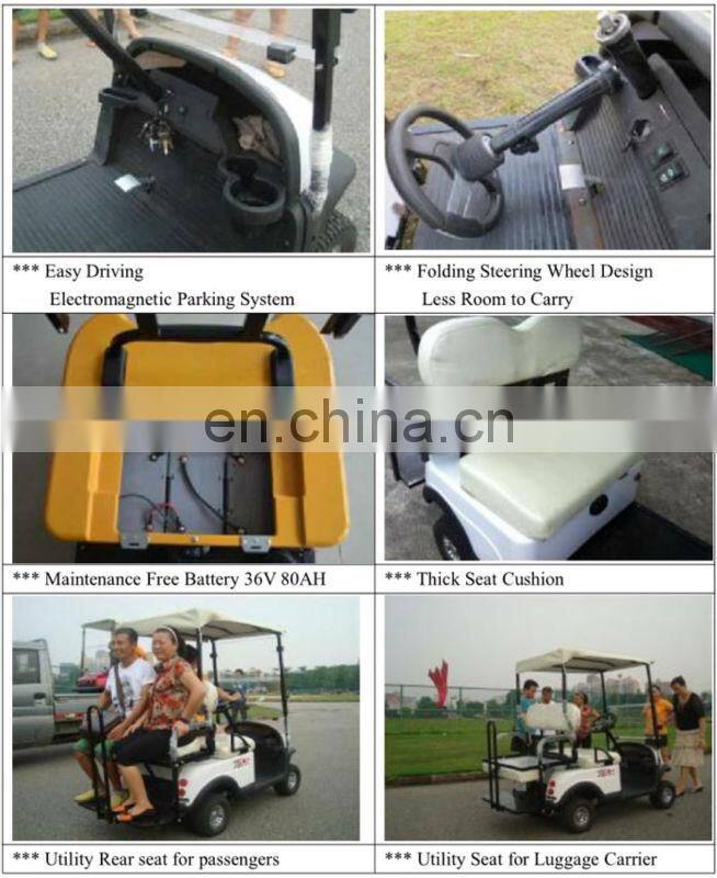 Curtis controller mini 2 seater golf cart