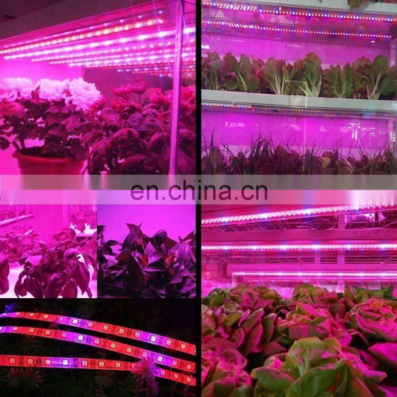 SMD 5050 4 Red 1 Blue plant grow lighting waterproof led grow light strips for microgreens lettuce