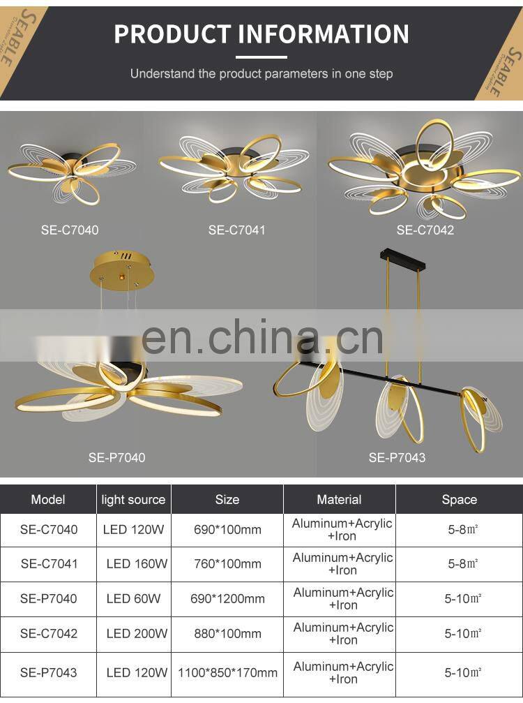 Unique Style Magnificent Decoration Aluminum Black Gold Indoor Bedroom LED Modern Ceiling Lamp