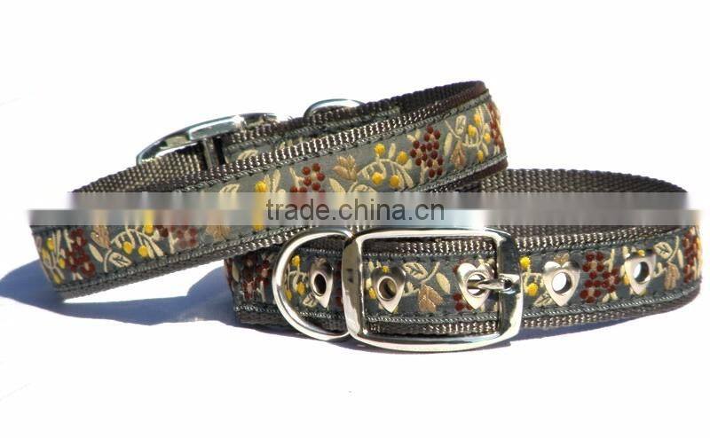 Hign end Fashion Adorable dog training collar